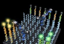 Sorting molecules with DNA robots