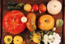 ZUCCA ED EFFETTI SUL CICLO MESTRUALE