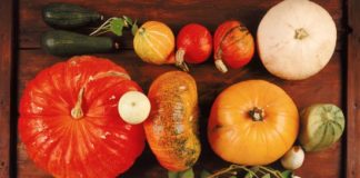 ZUCCA ED EFFETTI SUL CICLO MESTRUALE