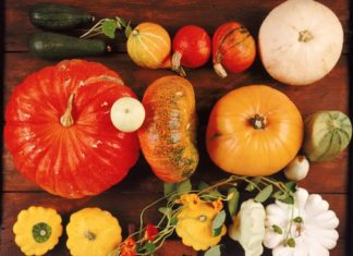 ZUCCA ED EFFETTI SUL CICLO MESTRUALE