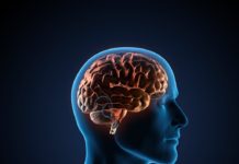 Mouth Clicks Used in Human Echolocation Captured in Unprecedented Detail