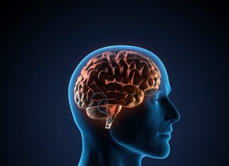 Mouth Clicks Used in Human Echolocation Captured in Unprecedented Detail