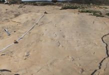 Newly discovered human-like footprints from Crete approximately 5.7 million years old