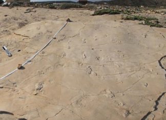 Newly discovered human-like footprints from Crete approximately 5.7 million years old