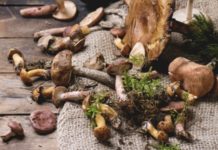 FUNGHI ED INVECCHIAMENTO CUTANEO