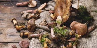 FUNGHI ED INVECCHIAMENTO CUTANEO