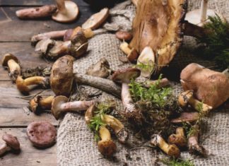 FUNGHI ED INVECCHIAMENTO CUTANEO