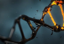 Which Genetic Marker Is the Ring Leader in the Onset of Alzheimer’s Disease ?