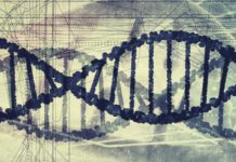 Humans still evolving – large-scale study of genetic data shows