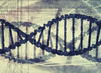 Humans still evolving – large-scale study of genetic data shows
