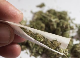 Researchers Reverse Negative Effects of Adolescent Marijuana Use