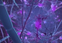 Magnetic Stimulation Improves Awareness of Cognitive Abilities