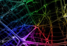 Neural Networks : How They Think and Work