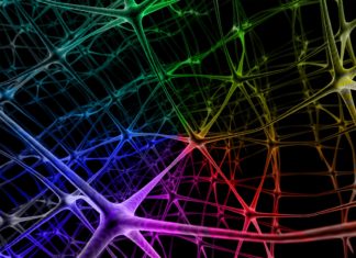 Neural Networks : How They Think and Work