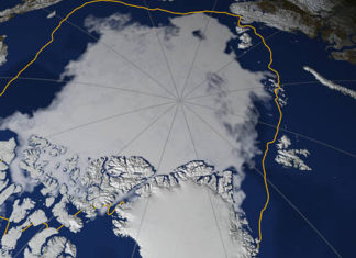 Arctic Sea Ice : Extent Is Eighth Lowest on Record