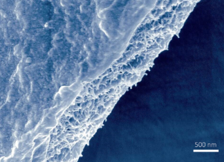Spider silk enhanced with graphene-based materials