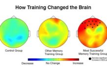 What training exercise boosts brain power best? New research finds out