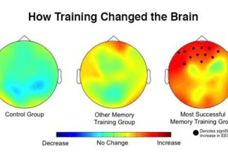 What training exercise boosts brain power best? New research finds out