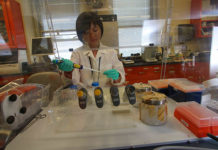 DNA damage found in veterans with Gulf War illness