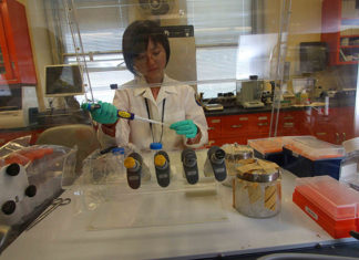 DNA damage found in veterans with Gulf War illness