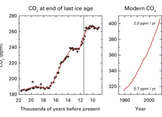Concentrations of carbon dioxide in the atmosphere highest level in 800,000 years