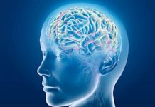 Researchers Studying Drug’s Potential to Prevent Alzheimer’s
