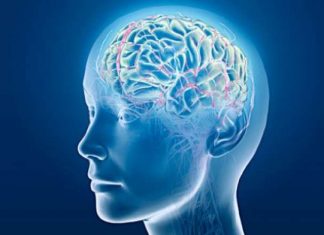 Researchers Studying Drug’s Potential to Prevent Alzheimer’s
