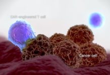 Israeli-founded Kite Pharma gets FDA nod for cancer therapy