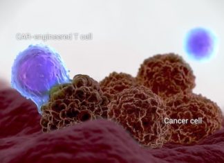 Israeli-founded Kite Pharma gets FDA nod for cancer therapy