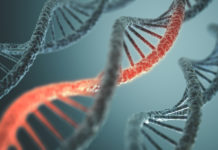 Israel’s NRGene identifies mutation that causes colon cancer