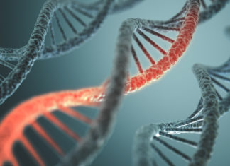 Israel’s NRGene identifies mutation that causes colon cancer
