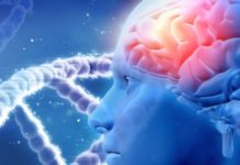 Lower Brain Glucose Levels in Brains of People With Obesity and Type 2 Diabetes