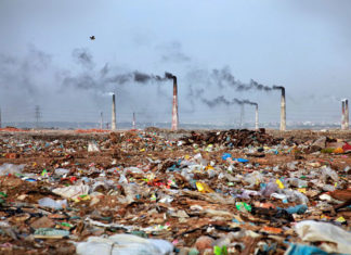 Pollution responsible for 16 percent of early deaths globally