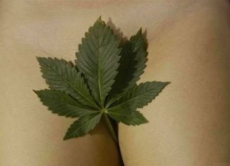 Researchers Link Regular Marijuana Use to More Sex