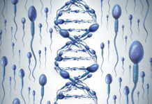 Sleep Duration May Affect Integrity of Sperm DNA