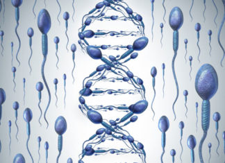 Sleep Duration May Affect Integrity of Sperm DNA