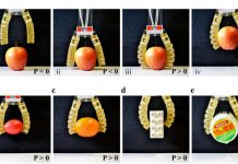 Swiss researchers have come up with a fully edible soft pneumatic actuator