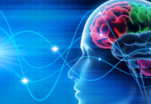 Brain waves reflect different types of learning