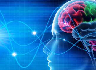 Brain waves reflect different types of learning