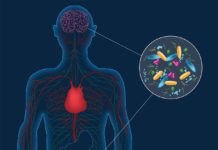 Role of gut microbiome in posttraumatic stress disorder