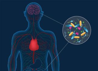 Role of gut microbiome in posttraumatic stress disorder