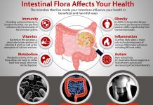 China have shown a potential link between healthy aging and a healthy gut