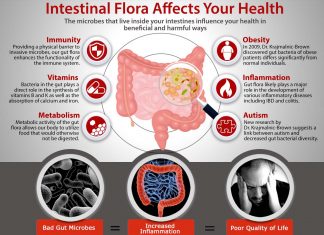 China have shown a potential link between healthy aging and a healthy gut