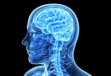 A Turbo Charge For Your Brain ?