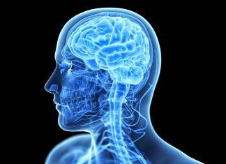 A Turbo Charge For Your Brain ?
