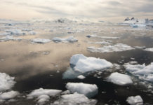 Sunlight and right microbes convert Arctic carbon into carbon dioxide