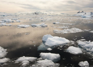 Sunlight and right microbes convert Arctic carbon into carbon dioxide