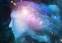 Human brain recalls visual features in reverse order than it detects them