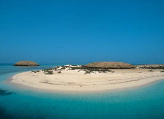 SAUDI ARABIA : 286 Saudi islands on offer for tourism investment in southern Jazan