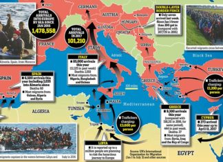 1 in 3 in Italy Will Be Migrants in 50 Years